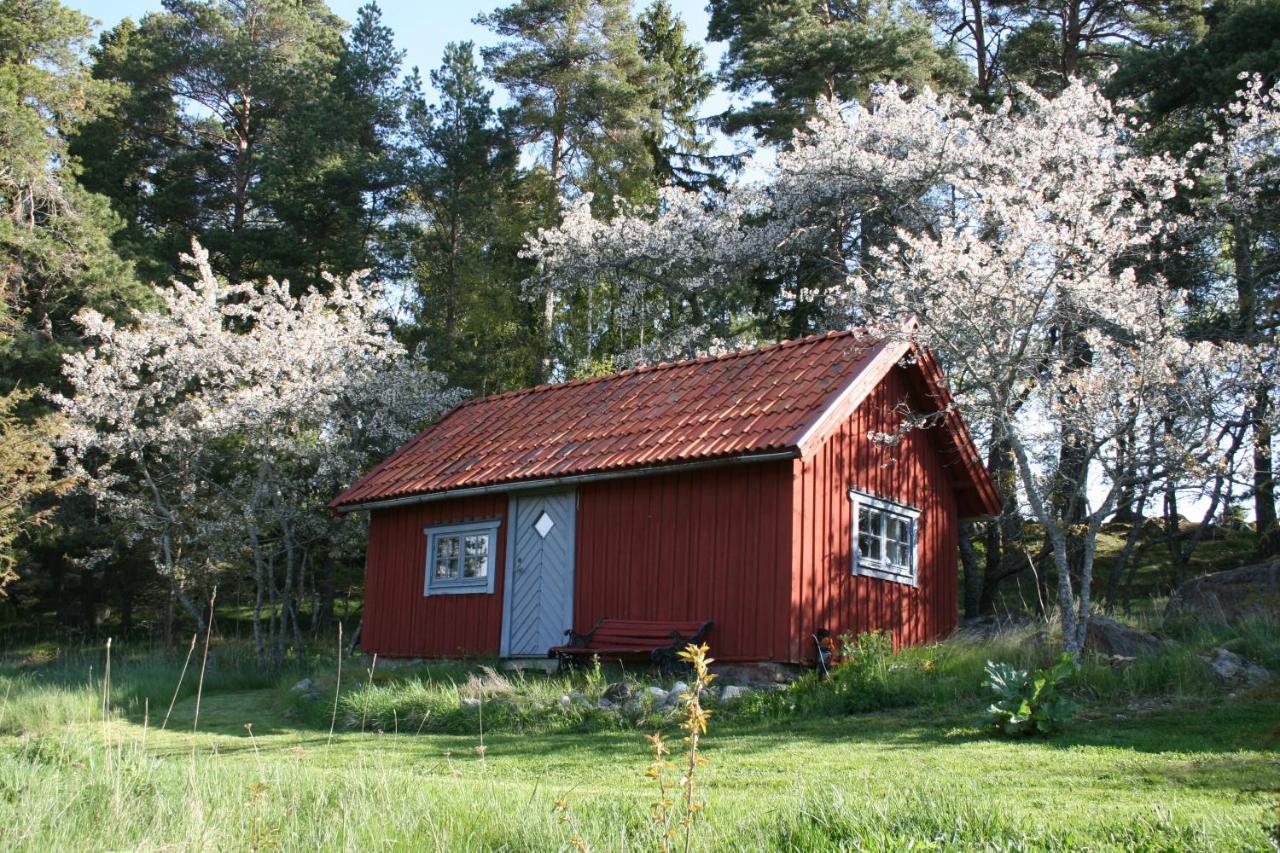 Vila Stubbhuggets Lillstuga Trosa Exteriér fotografie