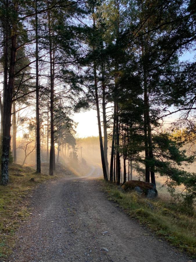 Vila Stubbhuggets Lillstuga Trosa Exteriér fotografie